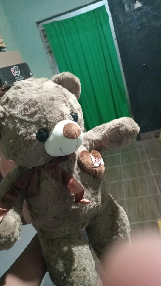 Teddy Bear Plush Toy photo review