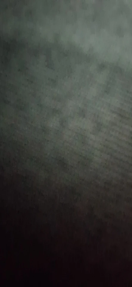 Balança Corporal Bioimpedância Profissional Bluetooth - Neverdie Store photo review