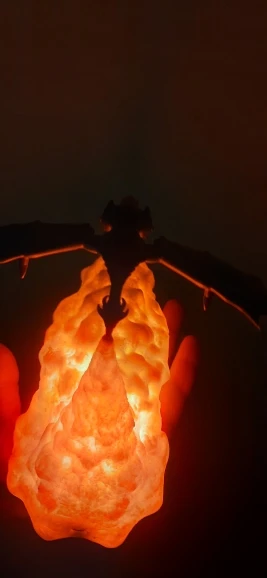 3D LED Dragon Night Lamps photo review