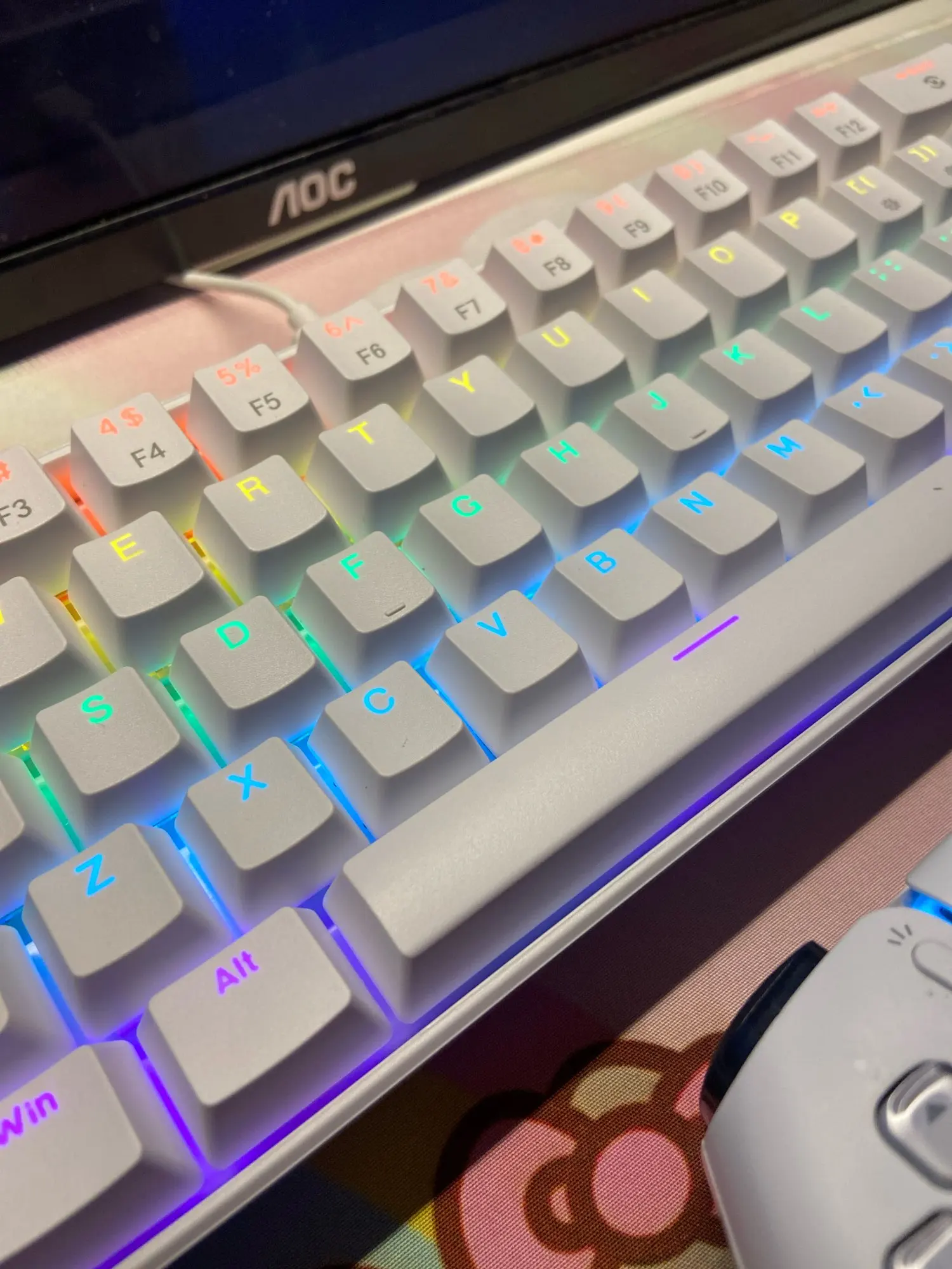 APAYADO K61 60% Wired Mini Mechanical Keyboard RGB photo review