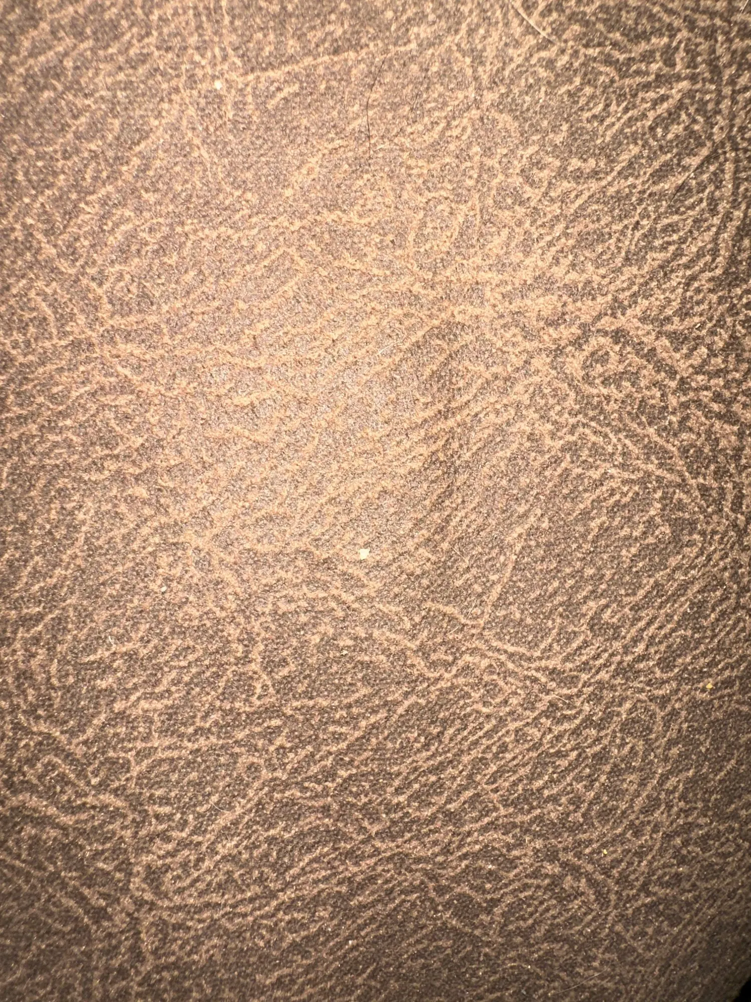 Creative PP Square Chopping Board, Non-Slip Vegetable & Fruit Cutting Board photo review