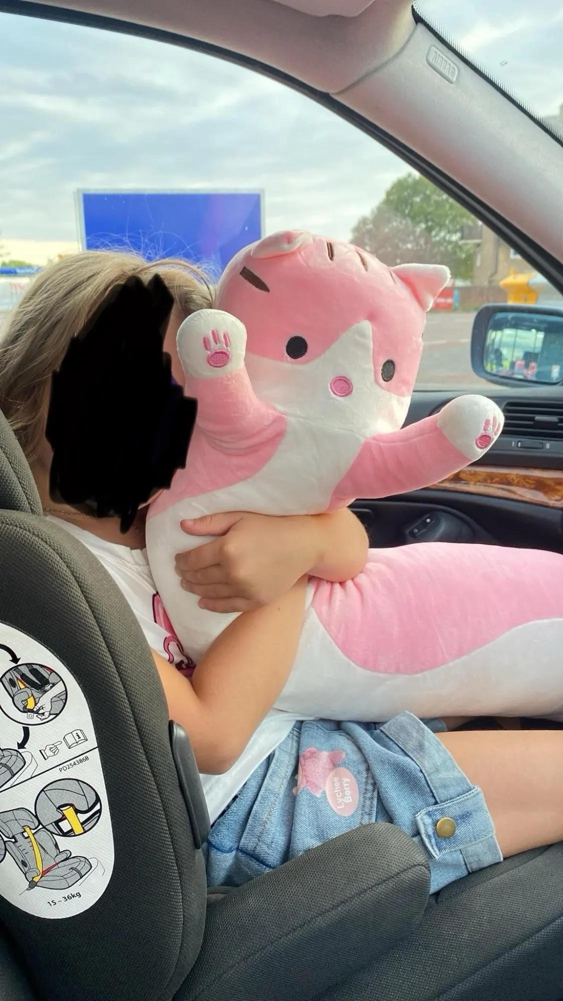 Cloud Kitty Long Snuggle Pillow photo review