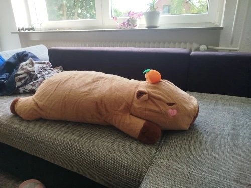 Chonky Sleeping Capybara Plushie photo review