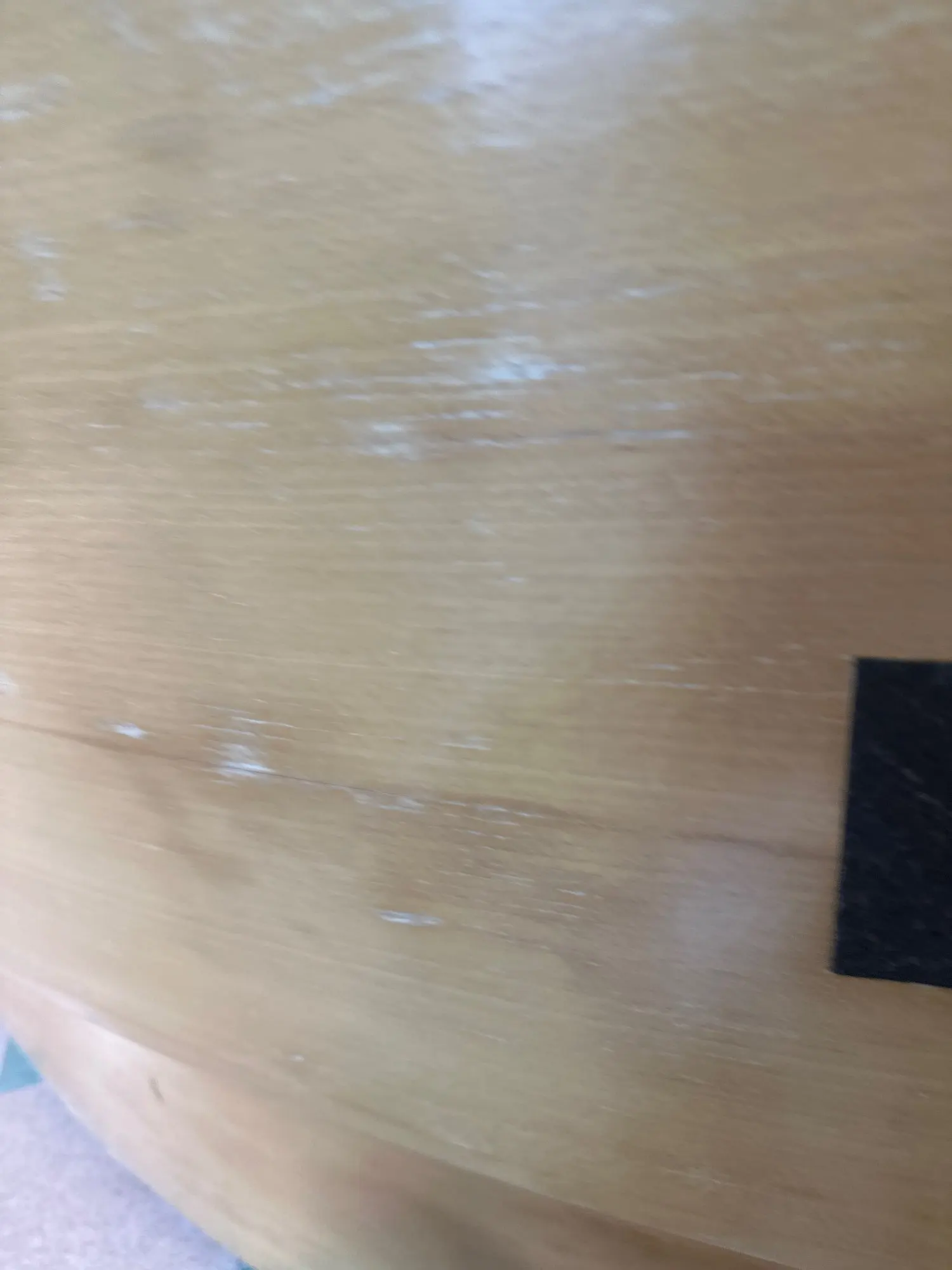 Scale-n-Serve Pet Food Measuring Cup photo review