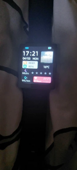 Non-Invasive Blood Glucose Test Smart Watch (Only For Reference, Cannot Replace Actual Medical Test Kits)