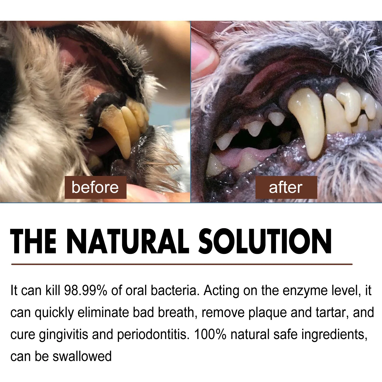 Yegbong Pet Tooth Cleaning Spray Remove Bad Breath Teeth Cleaning Dog Cats Tartar Removal Dental Care Deodorization Oral Spray