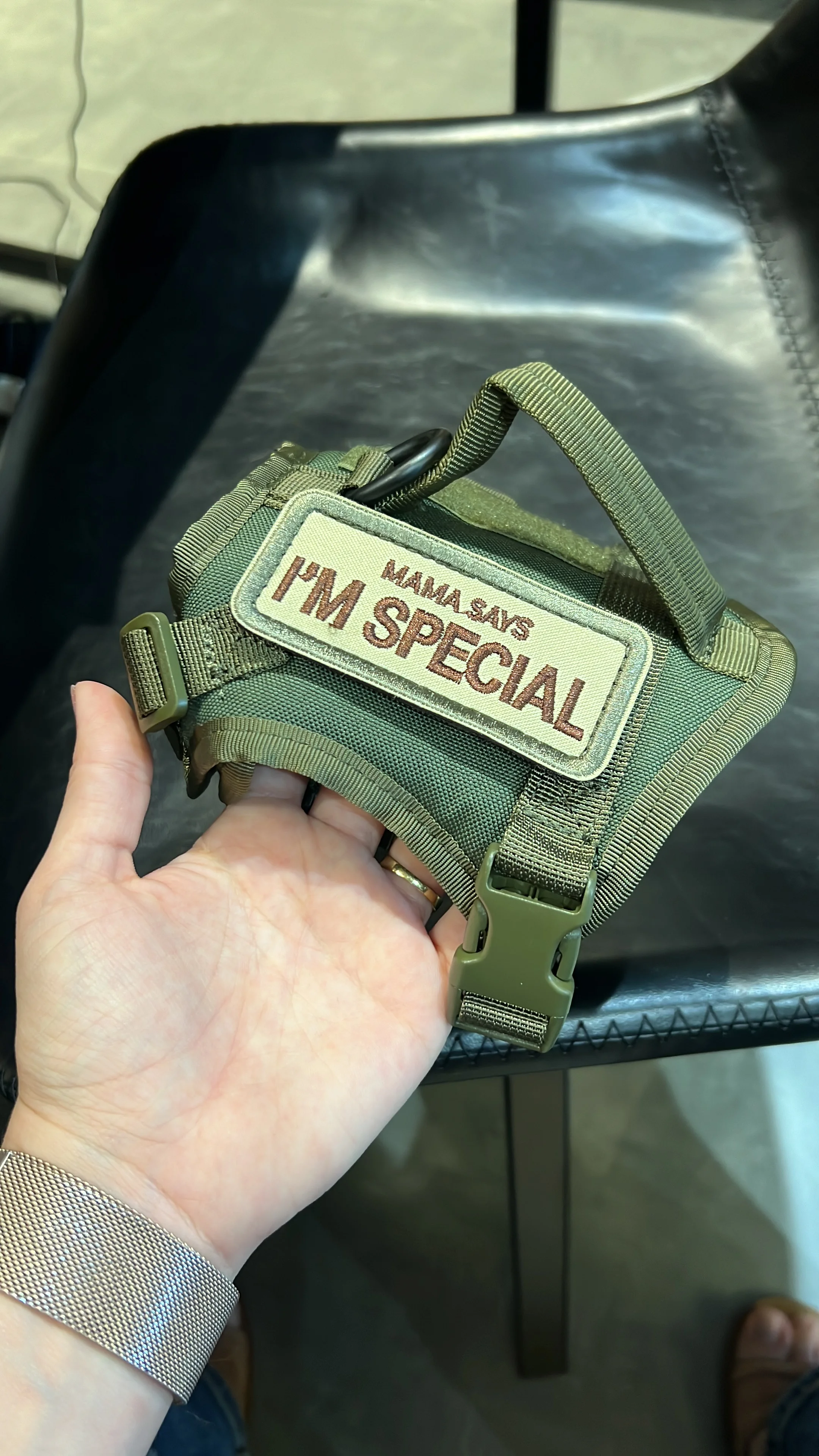 Kitty Commando Harness: Tactical Vest for Small Pets photo review