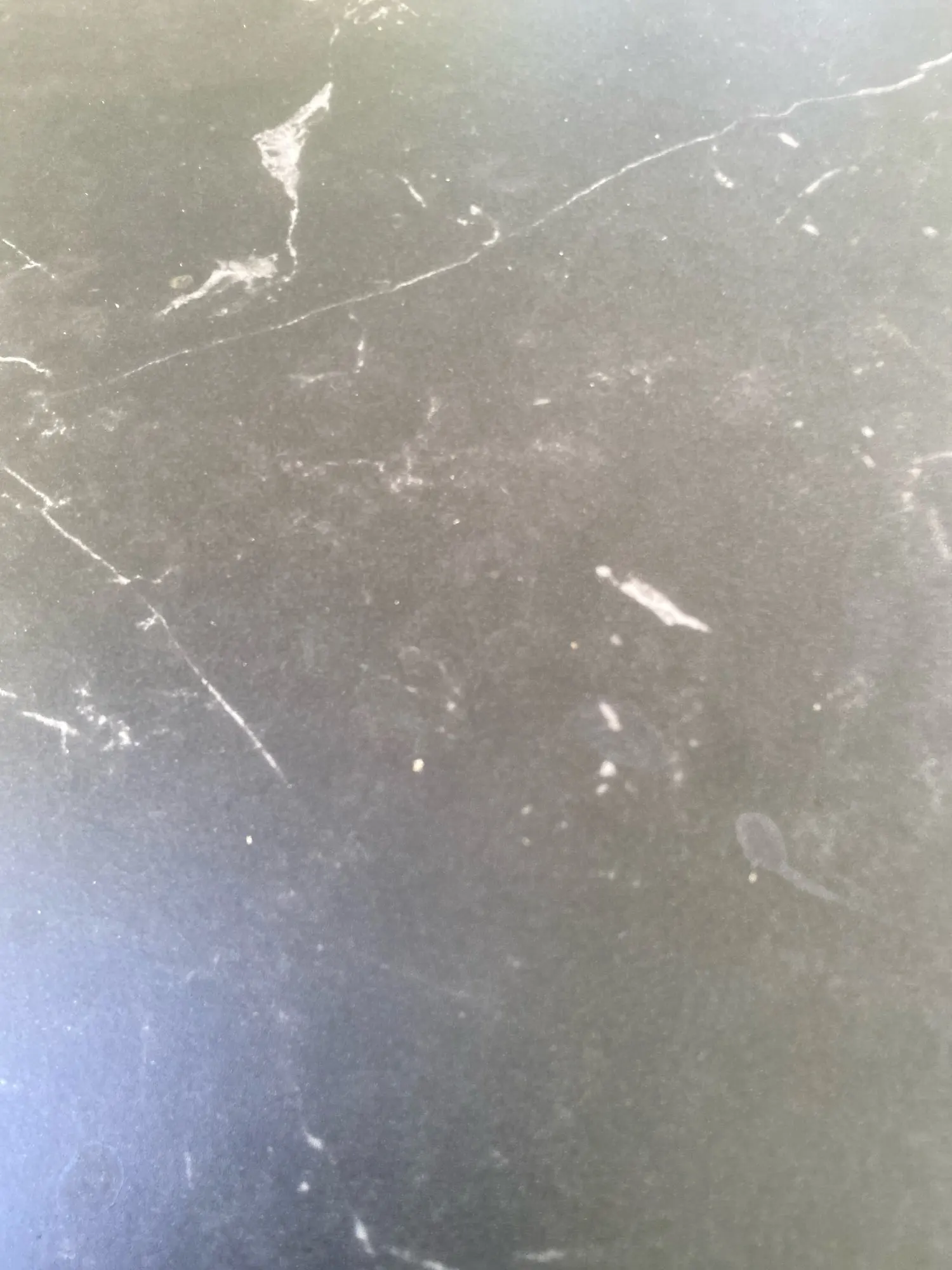 Nibber Mesh Patchwork Dress Women Sexy Backless Hollow Sleeveless 2025 Summer Trend Skinny Stretch Elegant Clubwear Maxi Bodycon photo review