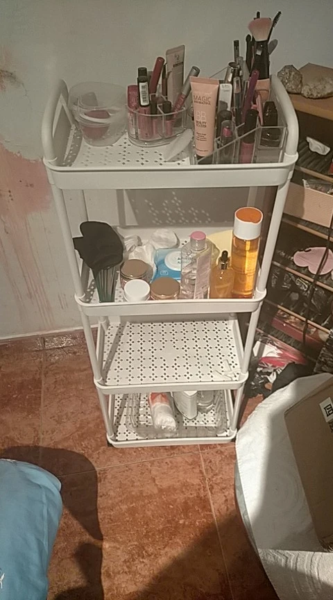 Plastic Rolling Utility Cart with Handle Storage Trolley for Office, Living Room, Kitchen, Movable Storage Organizer with Wheel photo review