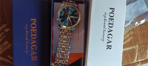 POEDAGAR Luxury Watch for Men photo review