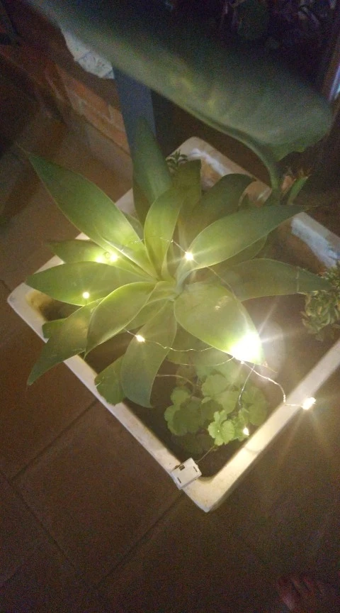 1/5/10 Uds. Guirnaldas de luces con botón y batería, decoración del hogar, sala de estar, dormitorio, jardín, Navidad, boda, adorno de Año Nuevo photo review