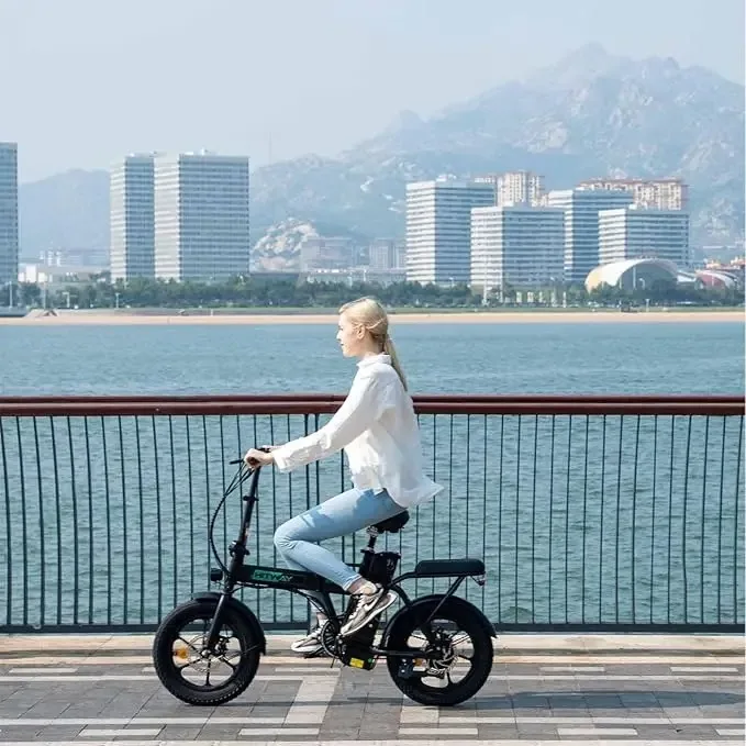 フル電動自転車 MOBI-BIKE 36V EXCEED（公道走行装備搭載
