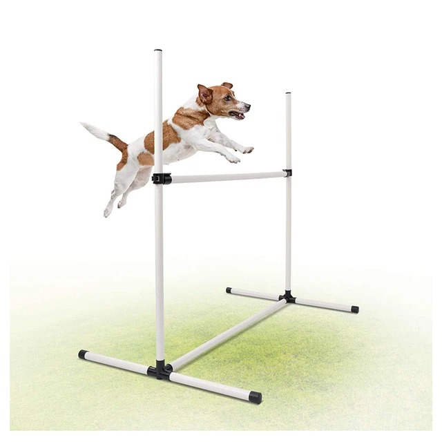 Barre de saut pour chien, équipement d'entraînement à l'agilité pour  animaux de compagnie - AliExpress