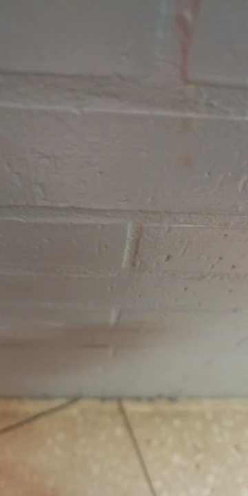 Estufa de Gas para acampar, estufa plegable portátil para mochilero al aire libre, equipo turístico para cocinar, senderismo, Picnic, 3500W photo review