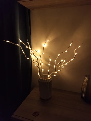 Prime Bugigangas