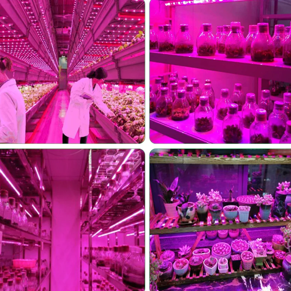 LED Grow Light 5V USB Full Spectrum Phyto Lamp 1m 2m 3m Strip for Seeds Flower Greenhouse Tent Hydroponic Plants Lighting led grow light grow light