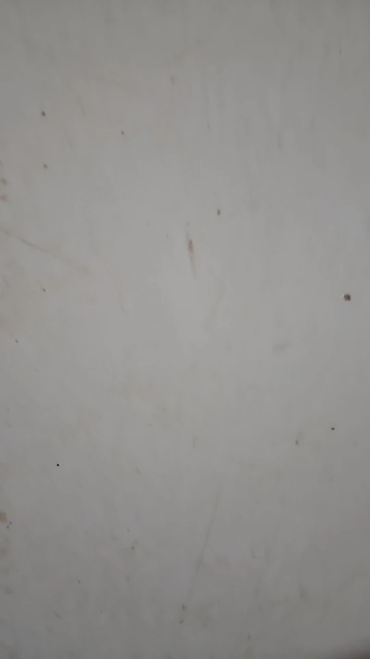 Balança Corporal Bioimpedância Profissional Bluetooth - Neverdie Store photo review