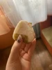 Изображение товара 1