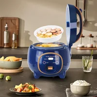 Mini cuiseur à riz électrique 1,8 L, multifonction, antiadhésif, intelligent, mécanique, pour la maison, cuiseur vapeur, pot à riz pour faire bouillir de l'eau, des soupes de riz 6