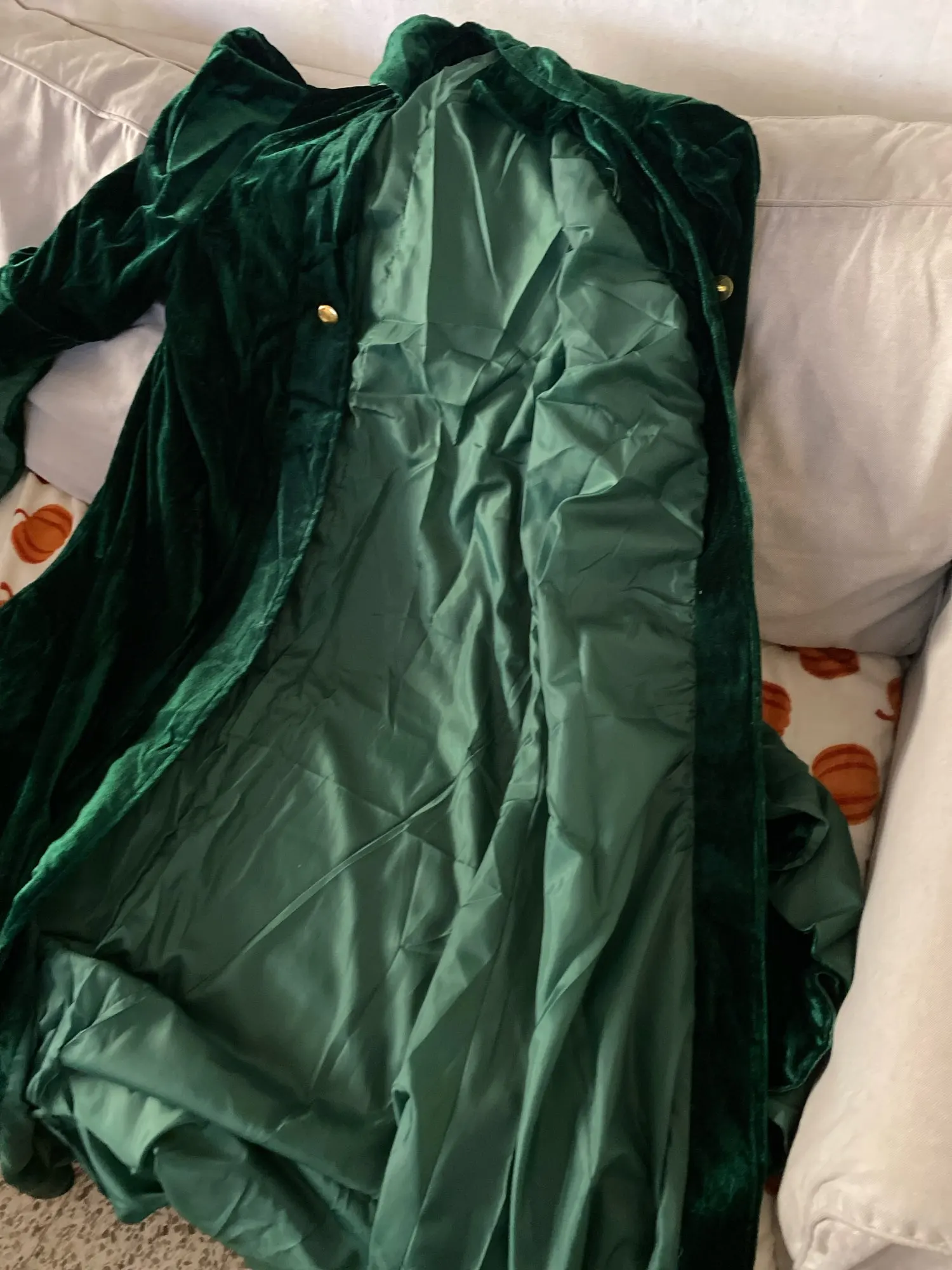 Costume de sorcière de prestige - Robe en velours vert émeraude & chapeau pointu