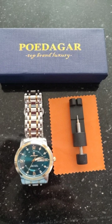 POEDAGAR Luxury Watch for Men photo review
