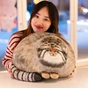 Adorable Pallas Cat Plush Body Pillow - Perfect for Kawaii Throw Pillows for Pets Lovers 2