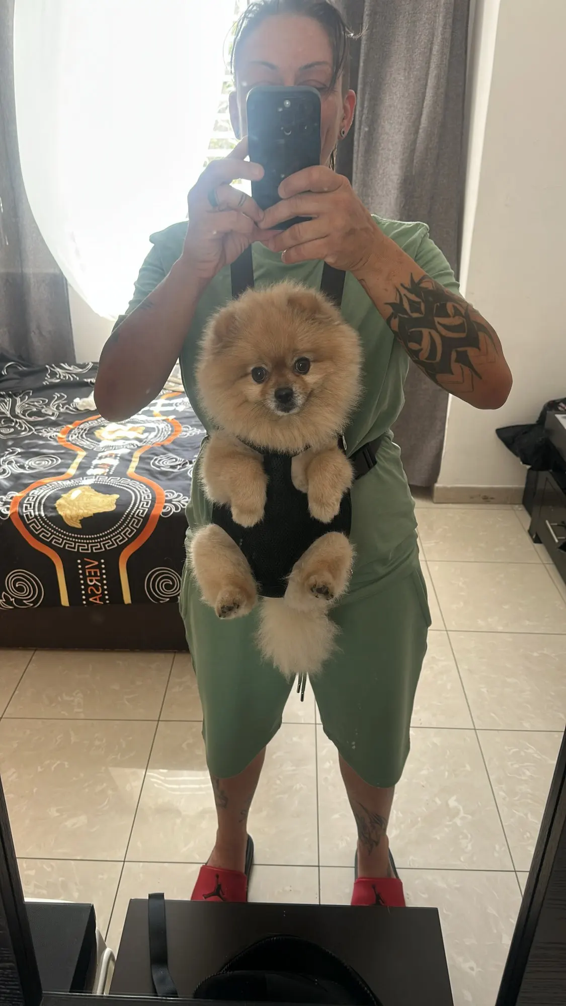 Pet Adventure Carrier Backpack photo review