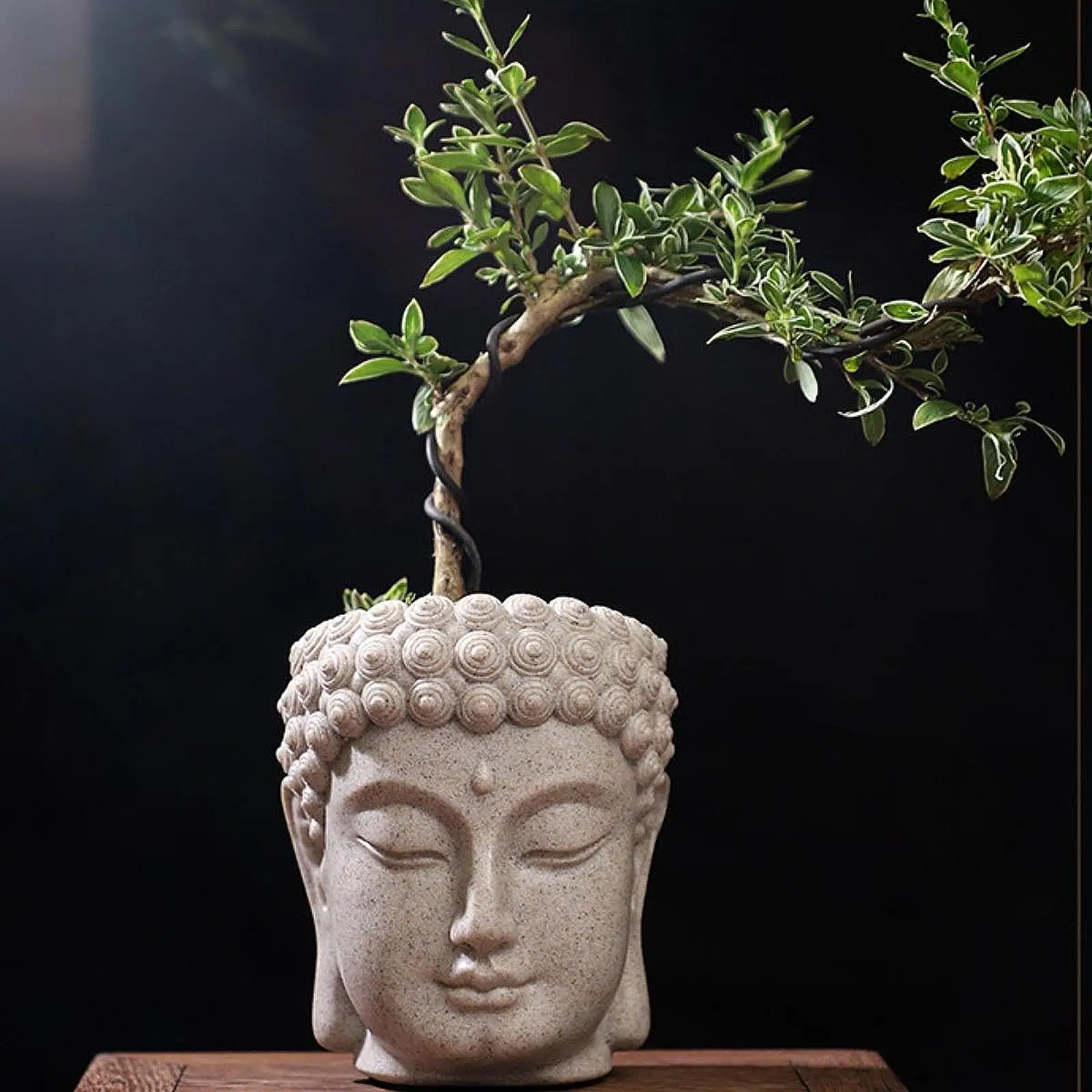 10 Migliori Vaso Testa Buddha In Italia - Foto 9