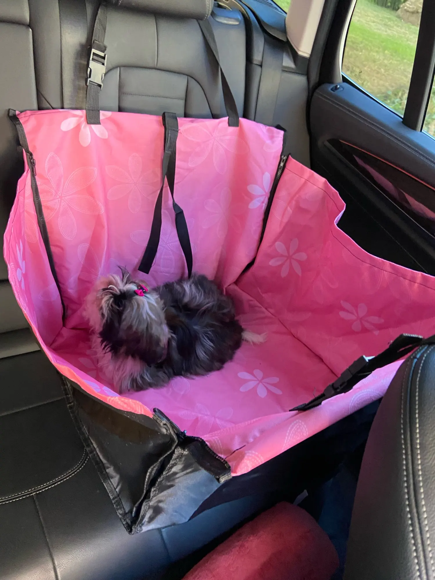 Safe Car Seat Covers For Dogs photo review