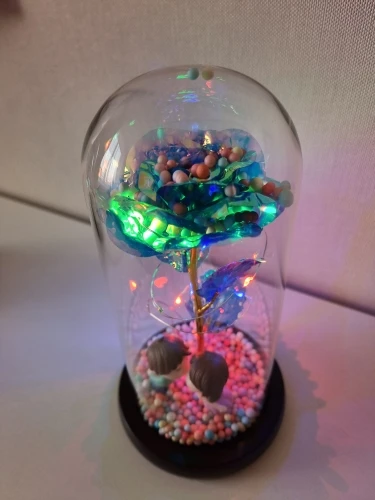 Enchanted Gold Rose in Glass – QEEPIN