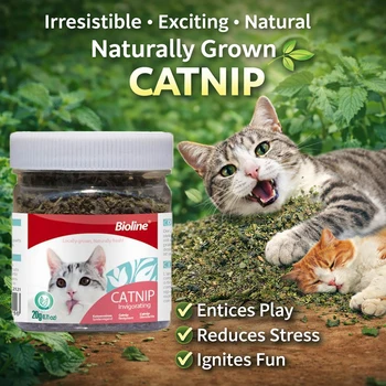 Catnip per Gatti, Foglie di Menta Gatta Essiccate Naturali 20g, Snack Biologico al Catnip, Allevia lo Stress, Stimola il Gioco, Giocattoli per Gattini