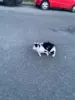 Изображение товара 3