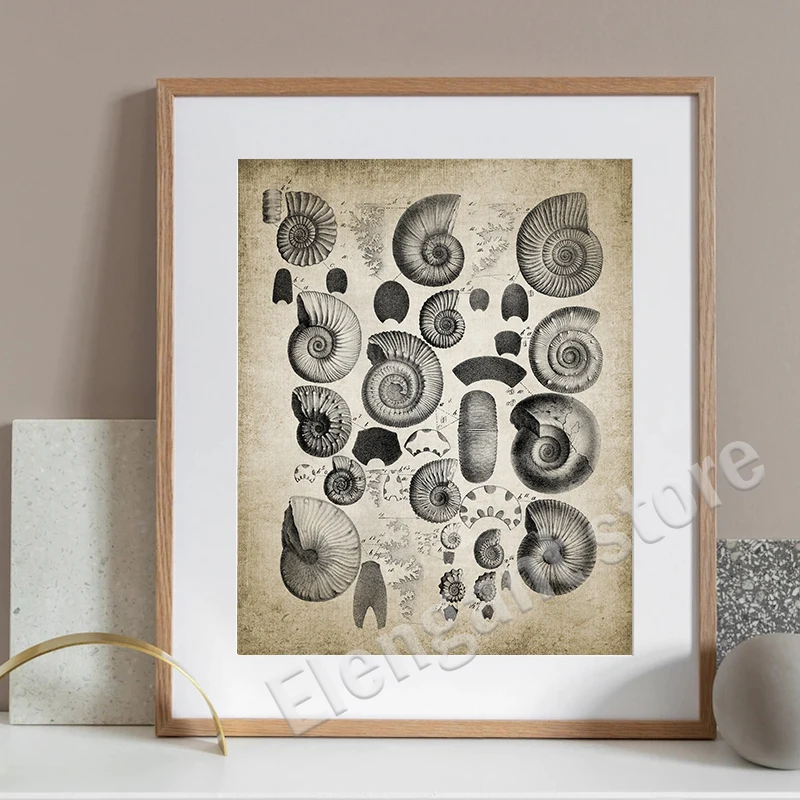 Vintage Paleontology Wall Art: Trilobite & Ammonite Canvas Painting Decor