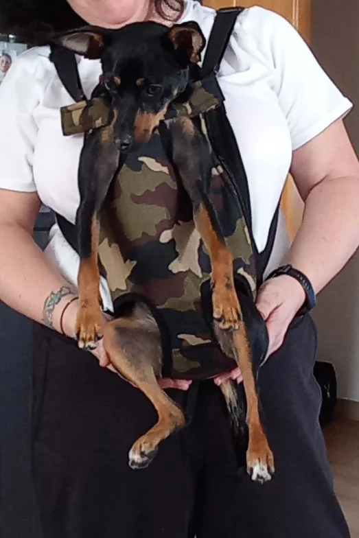 Sac de transport ventral pour chien