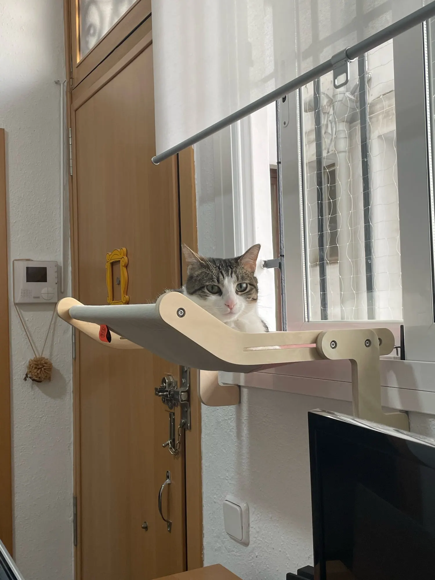 Attachment image review on Androf Cat Bed