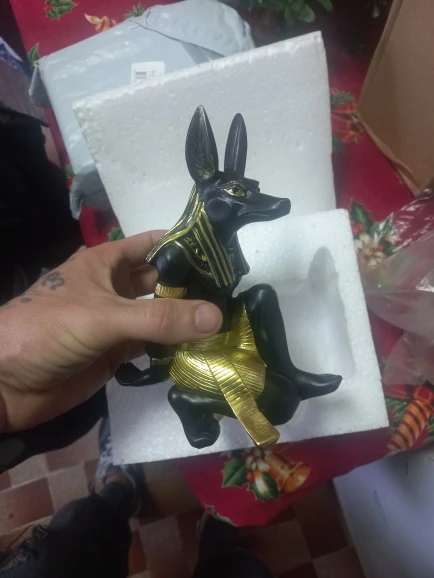Divine Guardian: Resin Anubis Wine Rack for Unique Home Decor photo review
