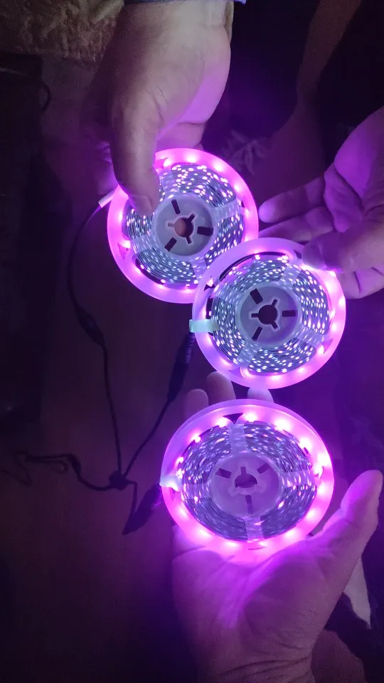2835 SMD UV DC 12V 5M LED Light Strip Ultraviolet Strip Light photo review