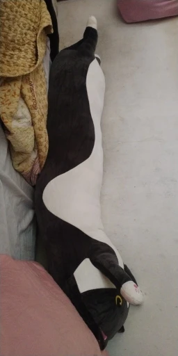 Cloud Kitty Long Snuggle Pillow photo review