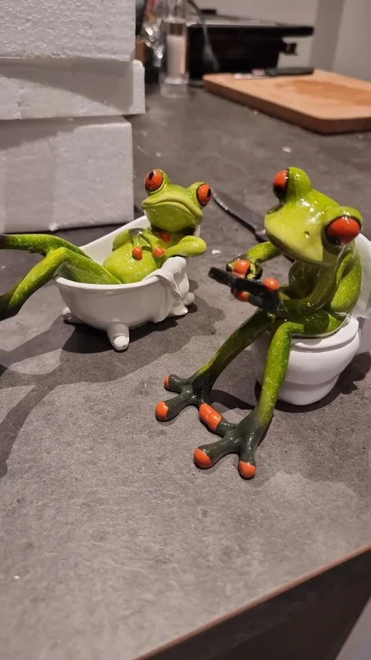 Resin Funny Frog Figurines - Home & Bathroom Decor Accessories photo review