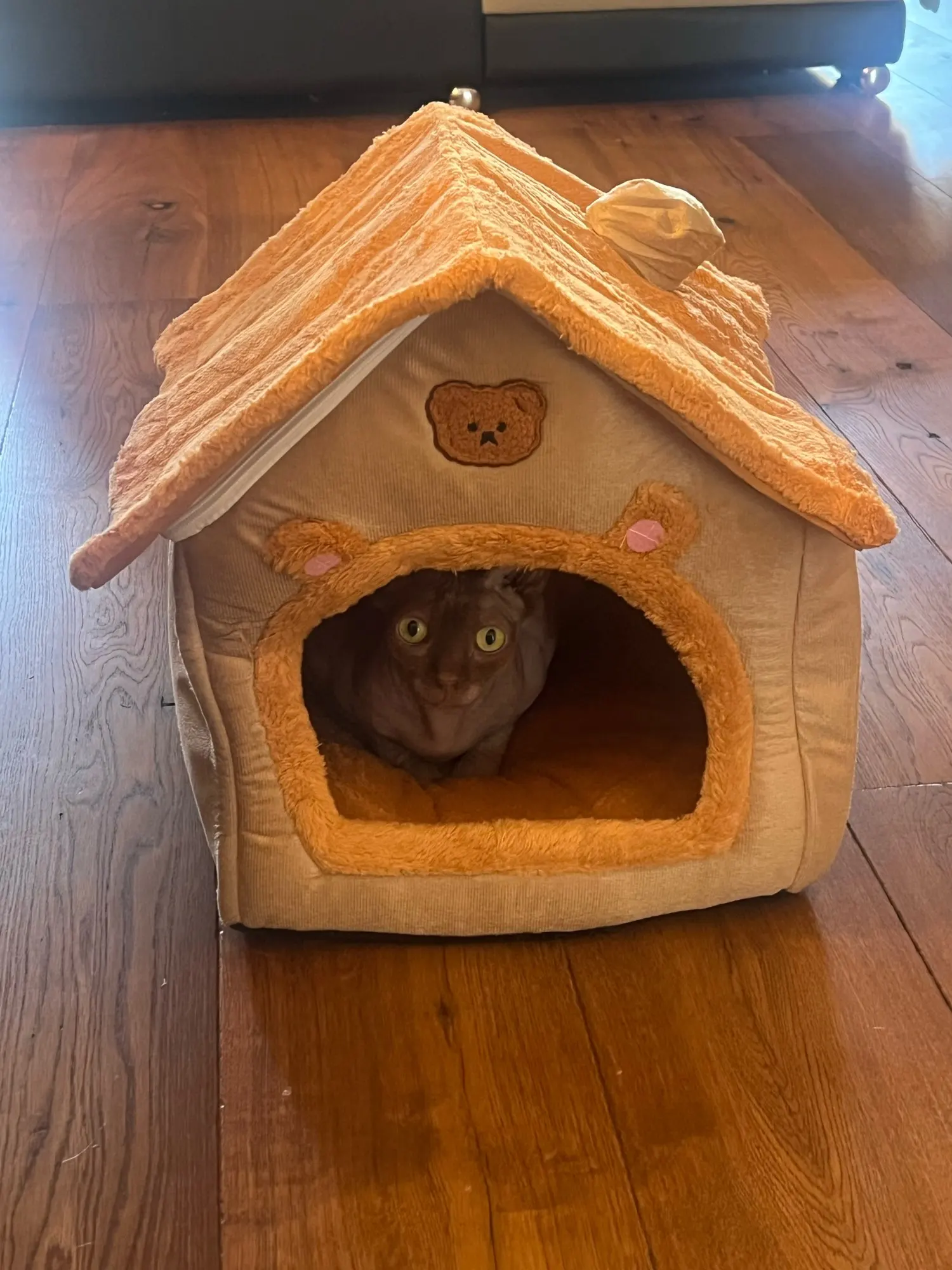 Cozy Foldable Pet House photo review