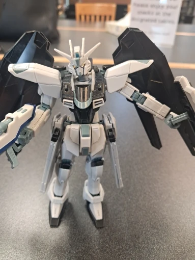 HG 1/144 JMS Freedom ZGMF-X10A Assemble The Model Action Figures