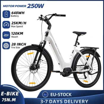 Bicicletta Elettrica TTGO da 28 Pollici per Donne e Uomini, Motore 250W, 36V 648 Wh, Bici da Città, Autonomia 120KM, 9 Velocità, con Display LCD, Regali