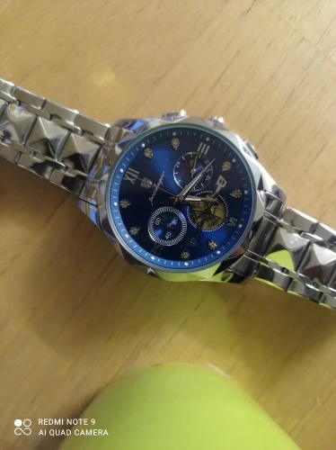 POEDAGAR Luxury Man Wristwatch Waterproof Luminous Chronograph photo review