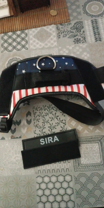 Arnés de perro personalizado sin tirones, chaleco reflectante y transpirable para mascotas pequeñas y grandes, accesorios de entrenamiento para caminar al aire libre photo review