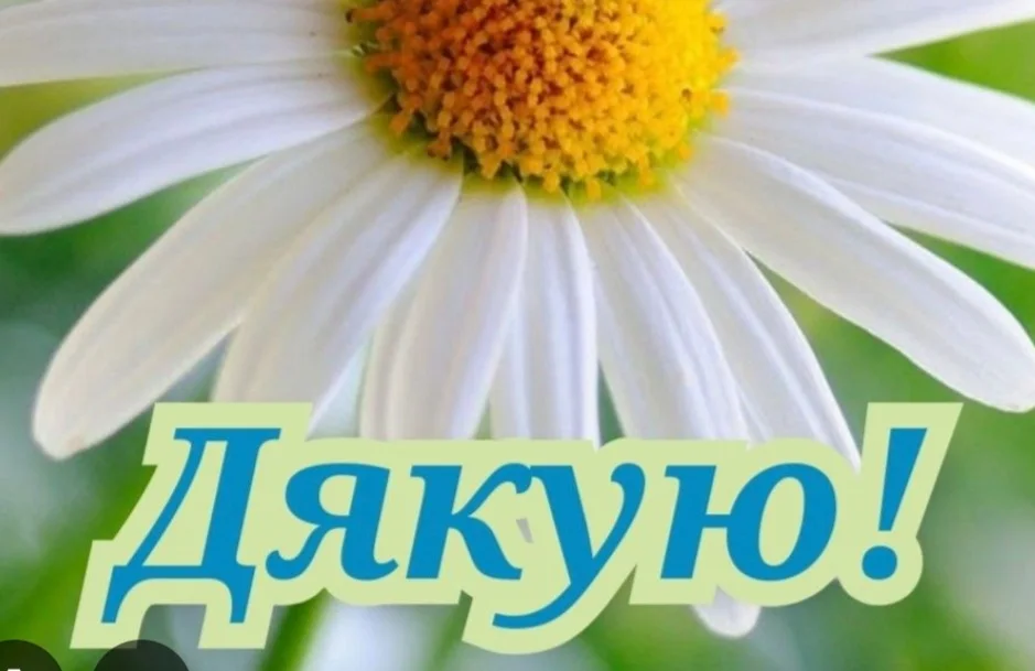 Cute Floral Nylon Baby Headband photo review