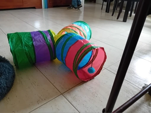 Cat Tunnel Foldable Cat Tunnel Pet Supplies Cat S T Y Pass Play Tunnel Cat Toy photo review