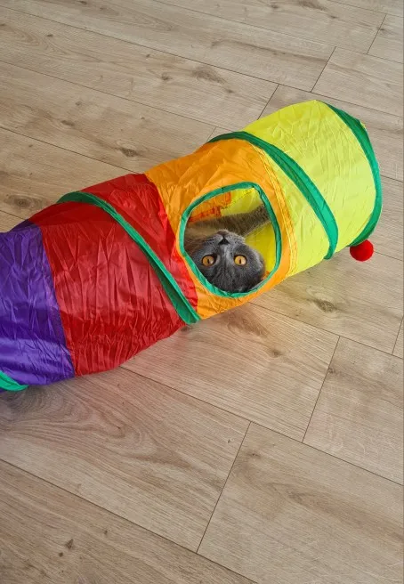 foldable Cat Tunnel Toy photo review