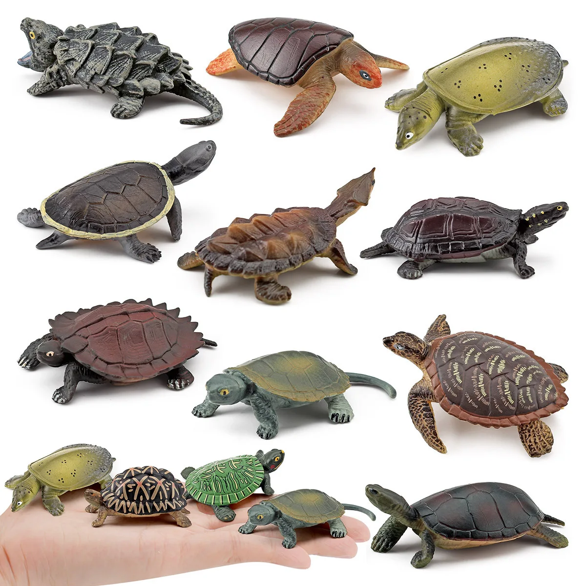 Simulation Reptile Snapping Turtle Pelodiscus Sinensis Tortoise Model Action Figures Mauremys Japonica Miniacture Education Toys