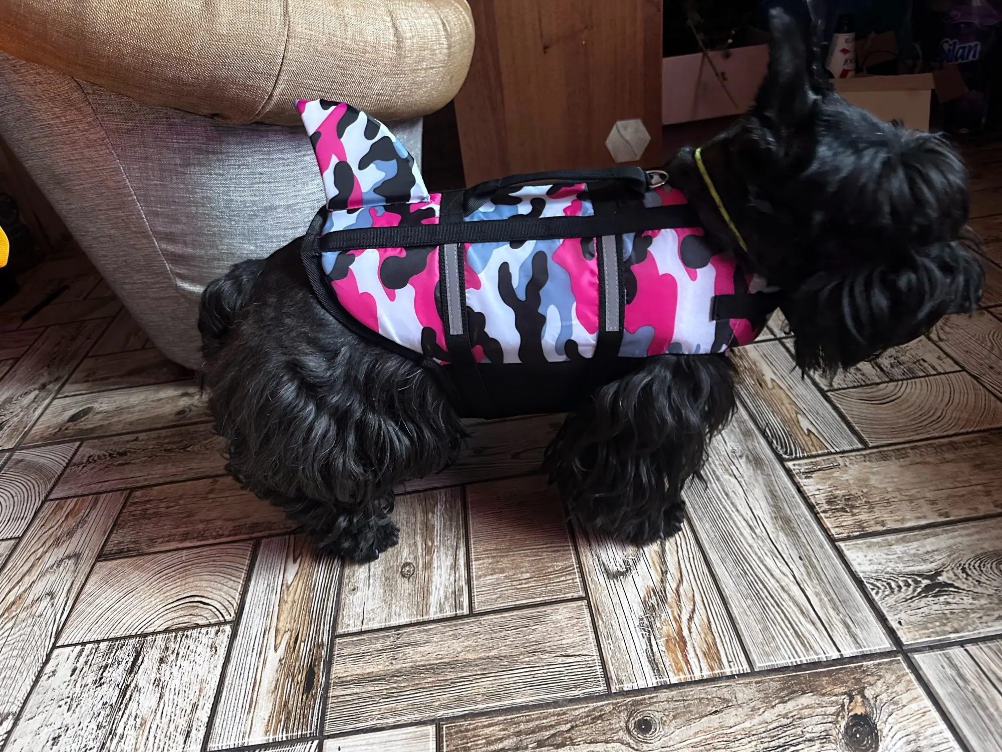 Chaleco Salvavidas Tiburón Con Estillo Para Perro