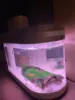 Изображение товара 3